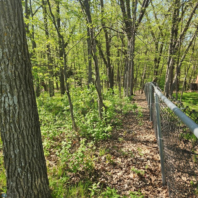 TBD Knollwood Ln, Dunn Twp, MN 56572