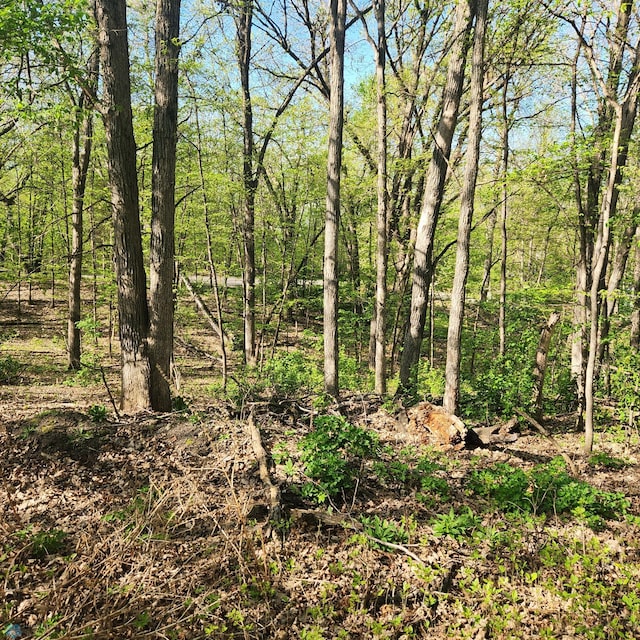 TBD Knollwood Ln, Dunn Twp, MN 56572