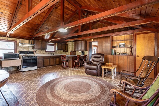 23711 Clarissa Haven Dr, Girard Twp, MN 56551 - living room with wooden walls and wood ceiling
