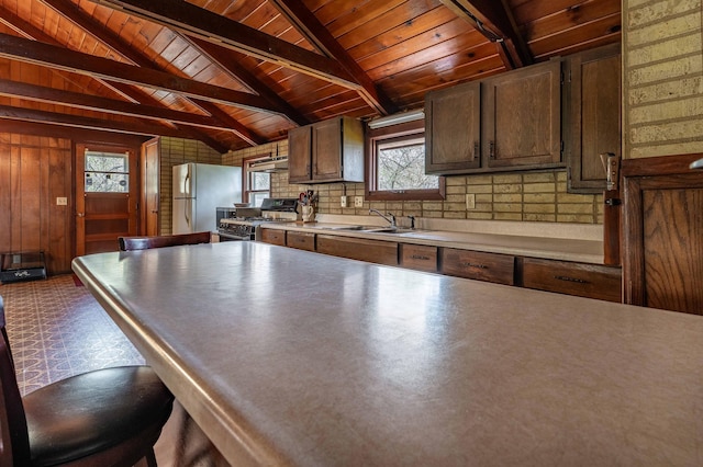 23711 Clarissa Haven Dr, Girard Twp, MN 56551 - kitchen featuring stainless steel gas stove, wooden ceiling, freestanding refrigerator, healthy amount of natural light, and a sink