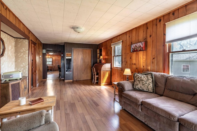 23711 Clarissa Haven Dr, Girard Twp, MN 56551 - living room with wood finished floors and wooden walls