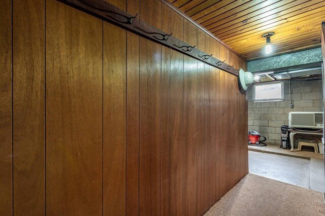 23711 Clarissa Haven Dr, Girard Twp, MN 56551 - below grade area featuring wooden ceiling and concrete block wall