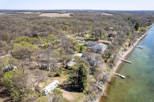 23711 Clarissa Haven Dr, Girard Twp, MN 56551 - view of property location with a large body of water and a forest