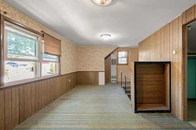 bonus room featuring wood walls and carpet floors