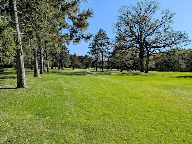 38546 Grand Ave, North Branch, MN 55056 - view of grassy yard