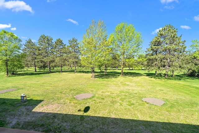 38546 Grand Ave, North Branch, MN 55056 - view of grassy yard with view of wooded area