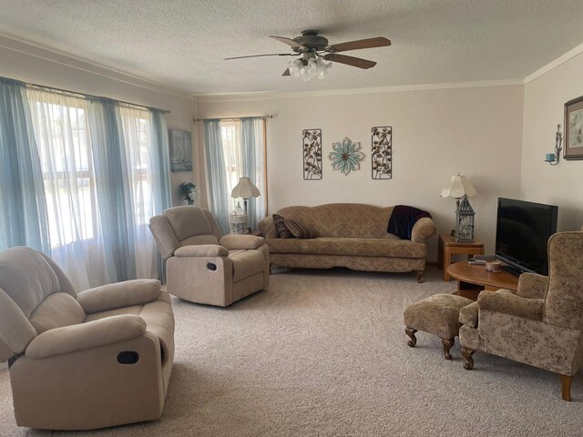 112 Walnut St, Dawson, MN 56232 - carpeted living area with ornamental molding, a textured ceiling, and ceiling fan