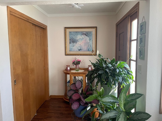 112 Walnut St, Dawson, MN 56232 - foyer featuring wood finished floors, ornamental molding, and baseboards