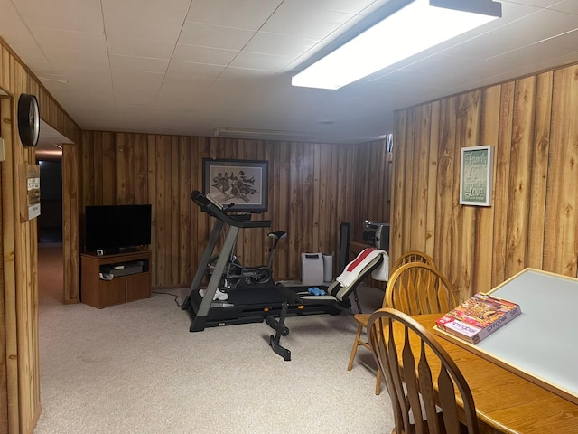 112 Walnut St, Dawson, MN 56232 - workout room with light colored carpet and wooden walls