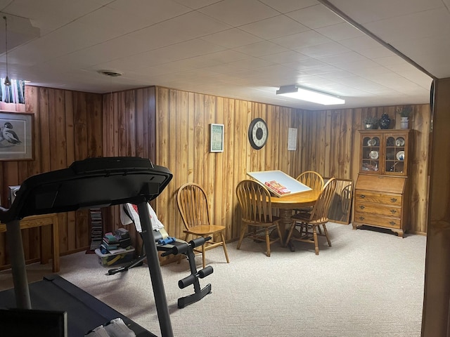 112 Walnut St, Dawson, MN 56232 - workout area featuring carpet and wood walls