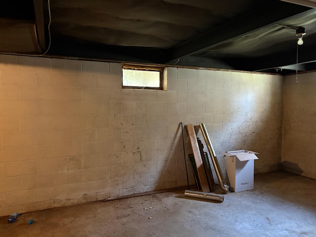 307 Deerwood Ln S, Onamia, MN 56359 - view of below grade area