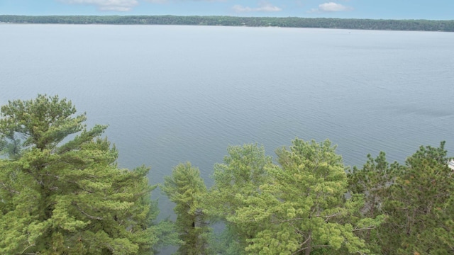 2202 Pine View Blvd, Motley, MN 56466 - water view