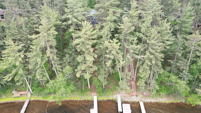 2202 Pine View Blvd, Motley, MN 56466 - aerial view of property and surrounding area