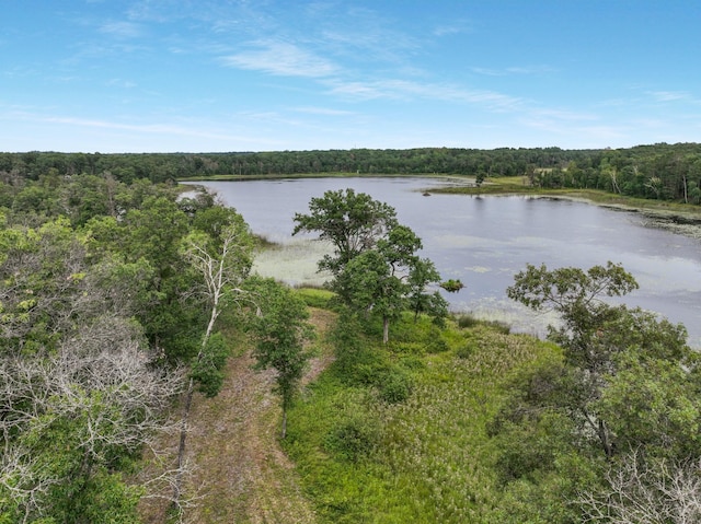 29917 Bay Dr, Danbury, WI 54830 - water view with a forest