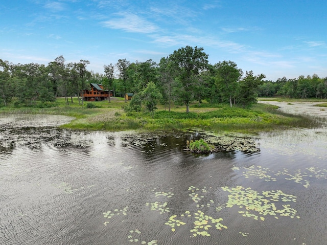 29917 Bay Dr, Danbury, WI 54830 - water view featuring a forest