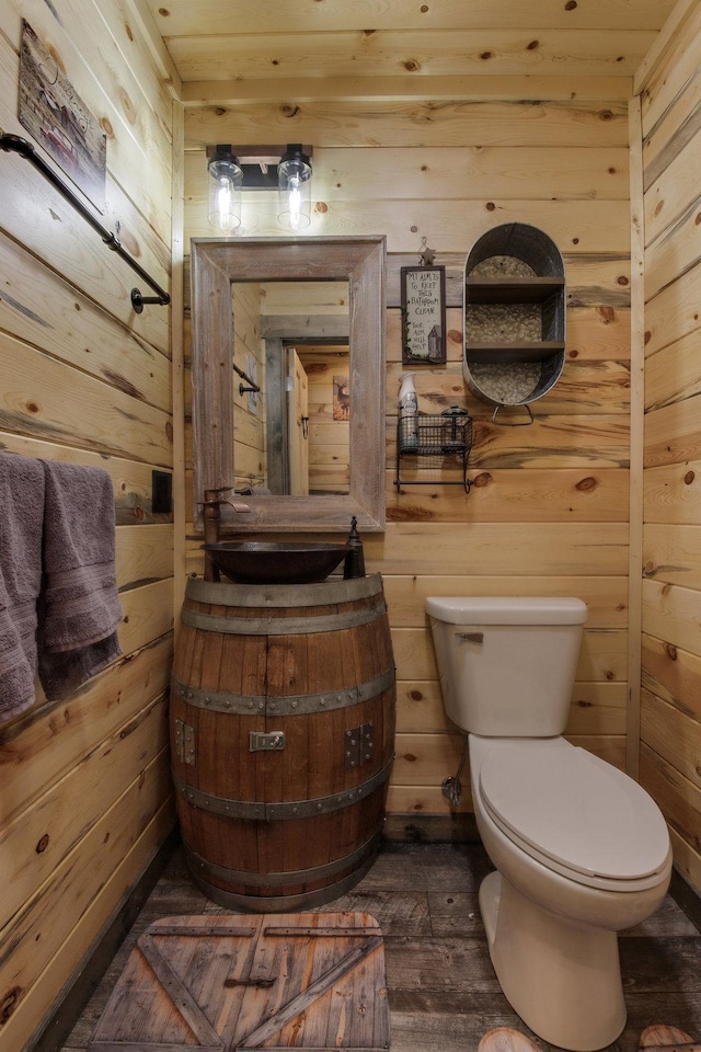 29917 Bay Dr, Danbury, WI 54830 - half bath featuring wooden walls, toilet, vanity, and wood finished floors