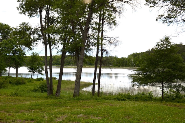 29917 Bay Dr, Danbury, WI 54830 - water view featuring a heavily wooded area