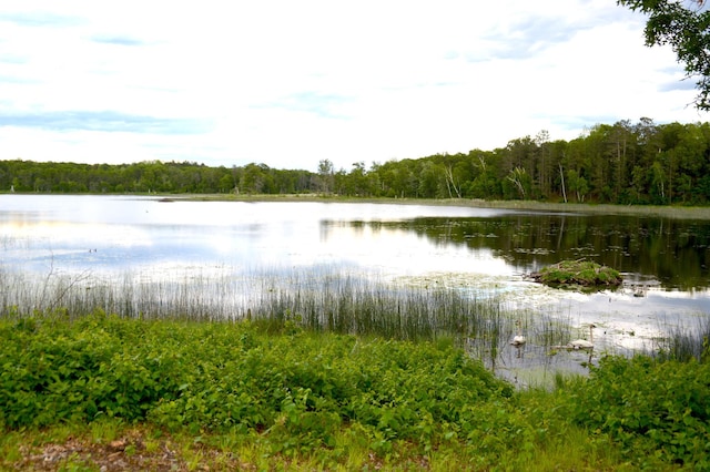 29917 Bay Dr, Danbury, WI 54830 - water view featuring a forest