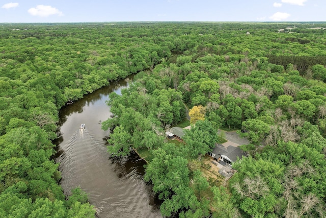 5191 159th Ave NW, Andover, MN 55304 - drone / aerial view of a forest and a nearby body of water