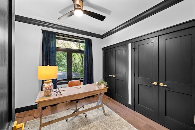 5191 159th Ave NW, Andover, MN 55304 - office featuring crown molding, ceiling fan, and light wood finished floors