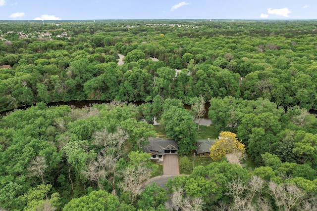 5191 159th Ave NW, Andover, MN 55304 - bird's eye view of a forest