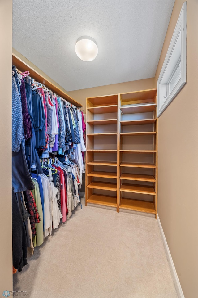 4126 Timberline Dr S, Fargo, ND 58104 - walk in closet featuring carpet