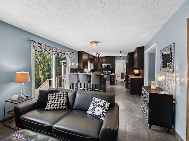 12576 Ridgewood Dr NW, Elk River, MN 55330 - living room with a textured ceiling