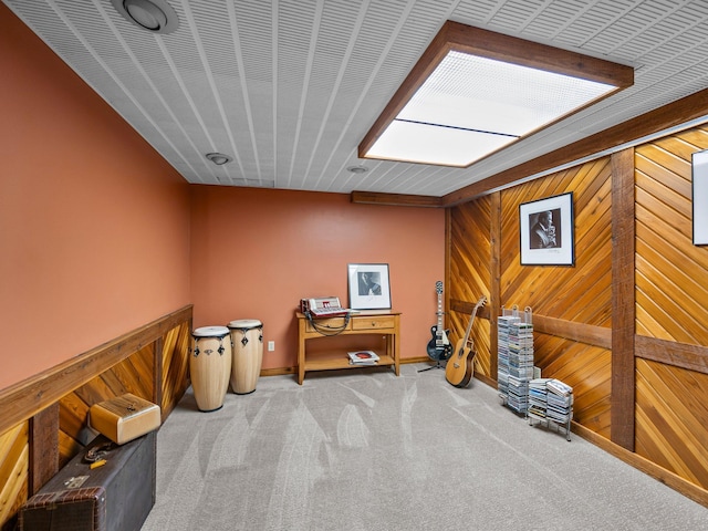 12576 Ridgewood Dr NW, Elk River, MN 55330 - misc room with carpet and wood walls