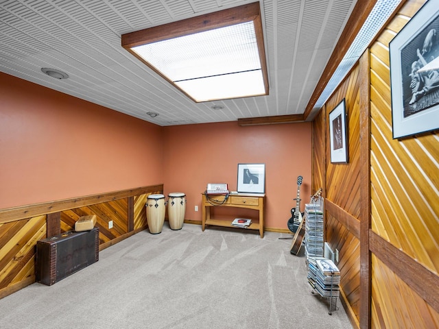 12576 Ridgewood Dr NW, Elk River, MN 55330 - misc room featuring carpet floors, wood walls, and baseboards