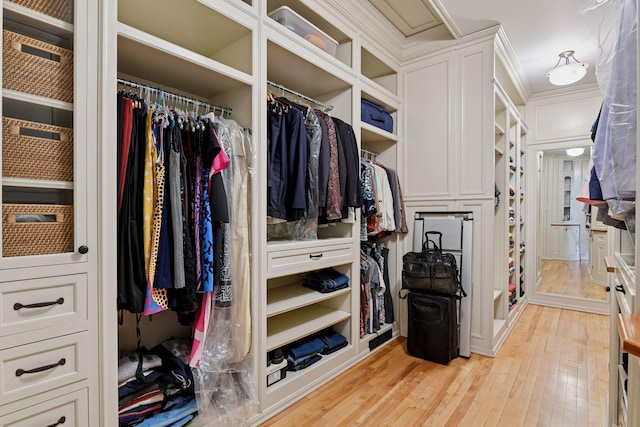 1721 Mount Curve Ave, Minneapolis, MN 55403 - spacious closet with light wood-style flooring