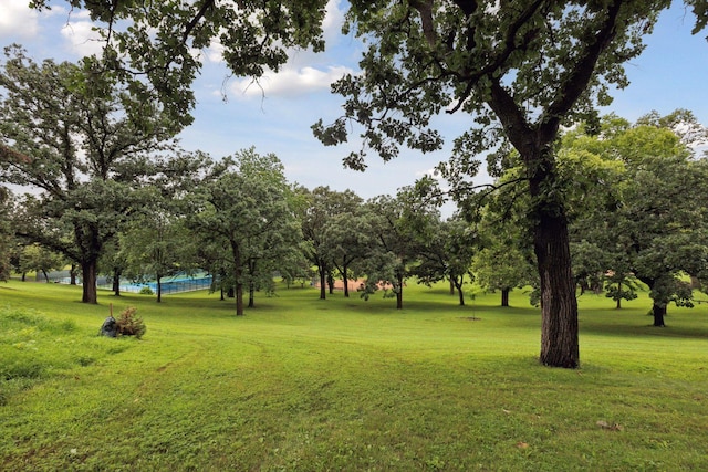 1721 Mount Curve Ave, Minneapolis, MN 55403 - view of property's community with a yard