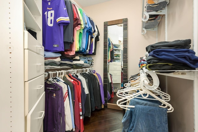 walk in closet featuring wood finished floors