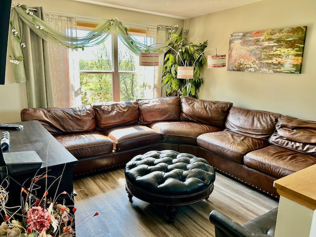 living area with a textured ceiling and wood finished floors
