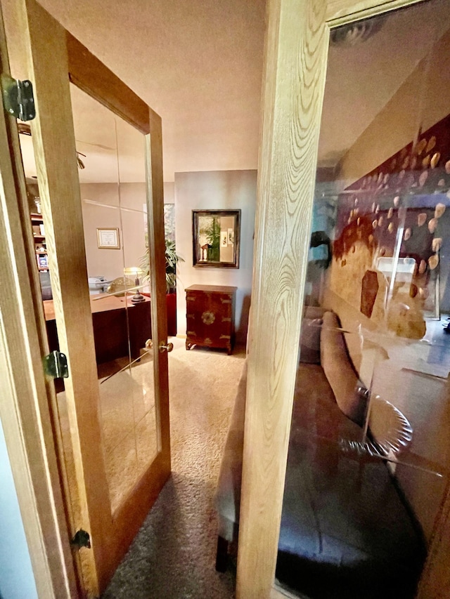 hallway with carpet flooring