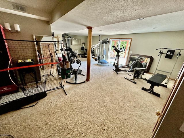 7263 Falmouth Curv, Shakopee, MN 55379 - exercise area with carpet floors and a textured ceiling
