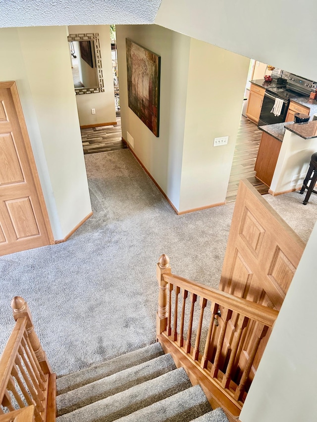 7263 Falmouth Curv, Shakopee, MN 55379 - staircase featuring baseboards and carpet flooring