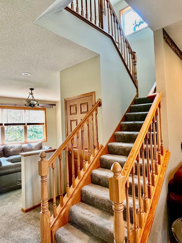 7263 Falmouth Curv, Shakopee, MN 55379 - stairway featuring carpet floors and a textured ceiling