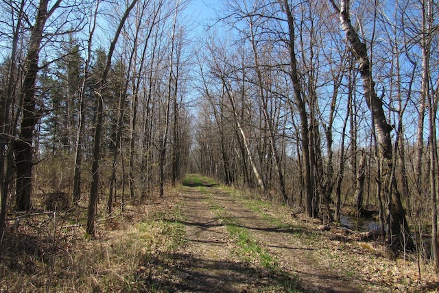 view of woods