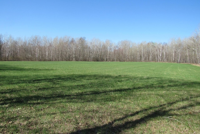 view of grassy yard with a forest view