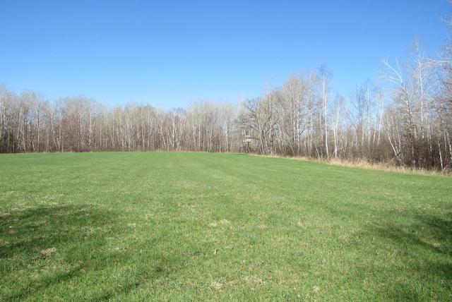 view of green lawn with a wooded view