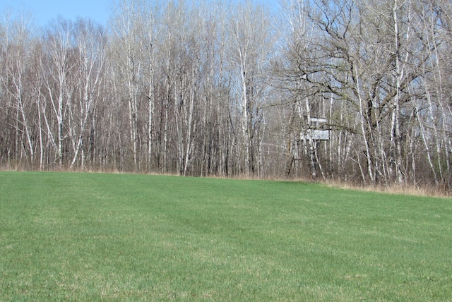 view of green lawn