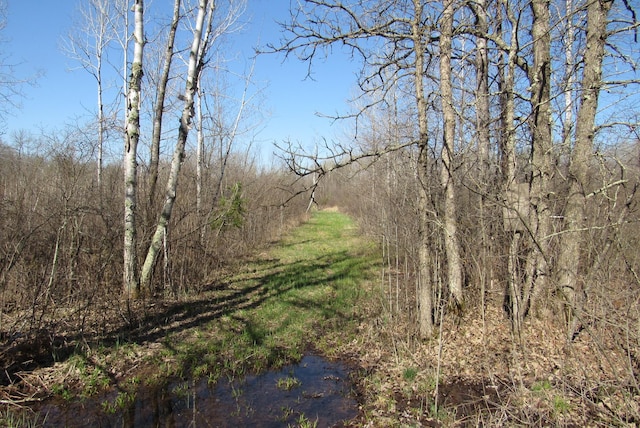view of tree filled area