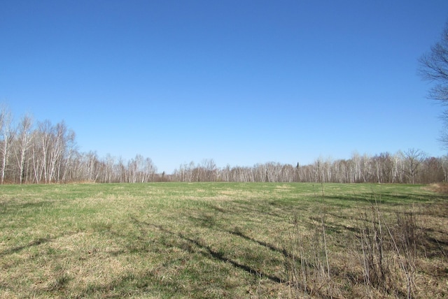 view of grassy yard with a forest view and a rural view