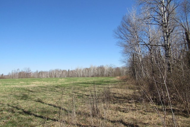 view of woods with a rural view