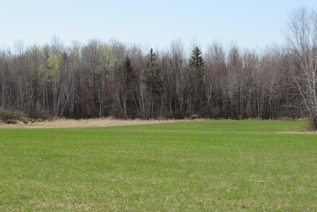 view of green lawn with a forest view