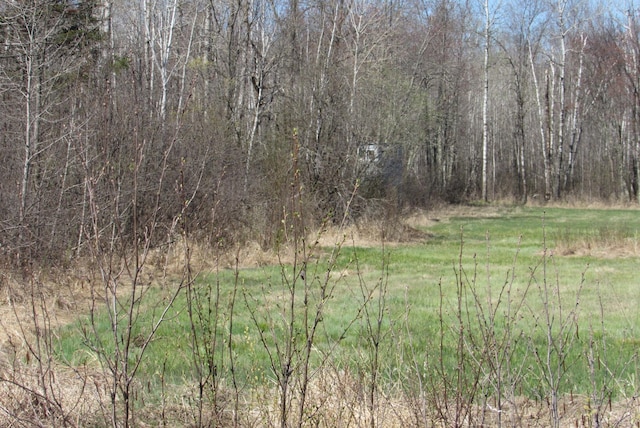 view of woods