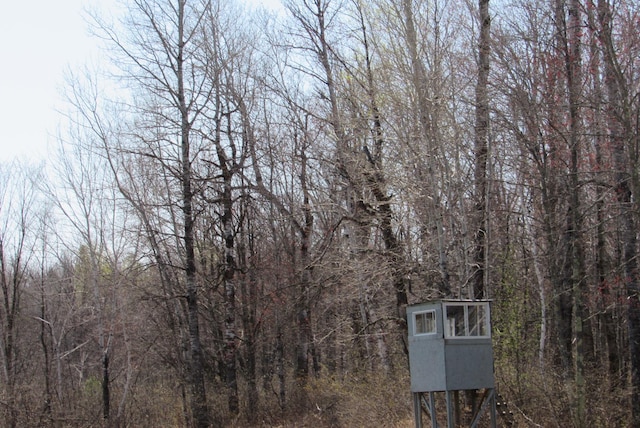 view of road featuring a forest view
