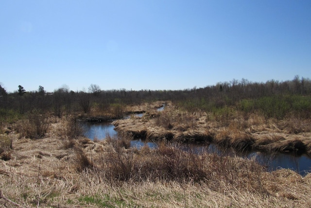 view of local wilderness