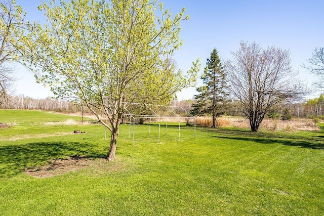 view of grassy yard