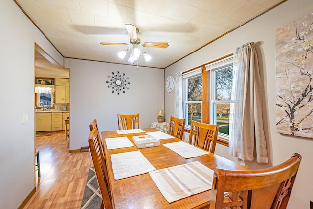 dining space featuring light wood finished floors, ceiling fan, and ornamental molding